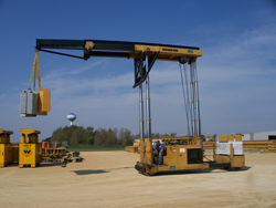 Different Types of Cranes and Their Uses